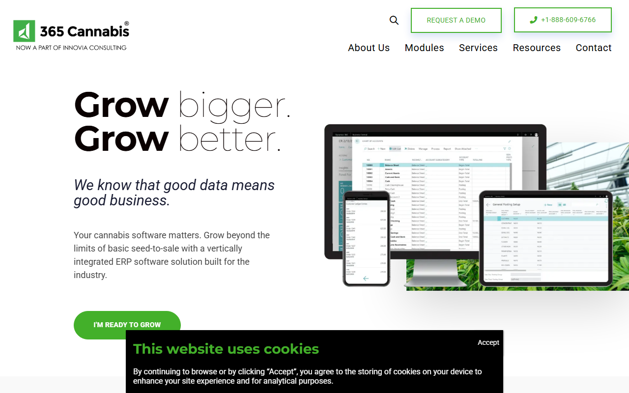 Screenshot of the 365 Cannabis vendor homepage